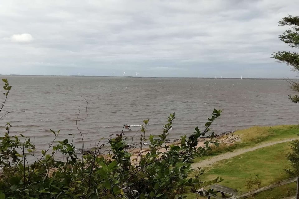 Water view
