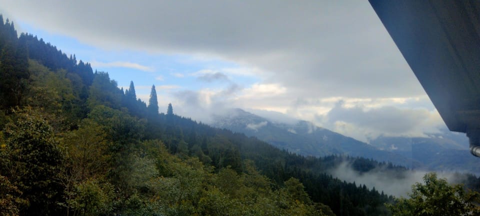 View from property