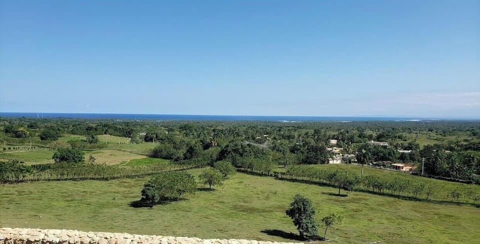 Day view 