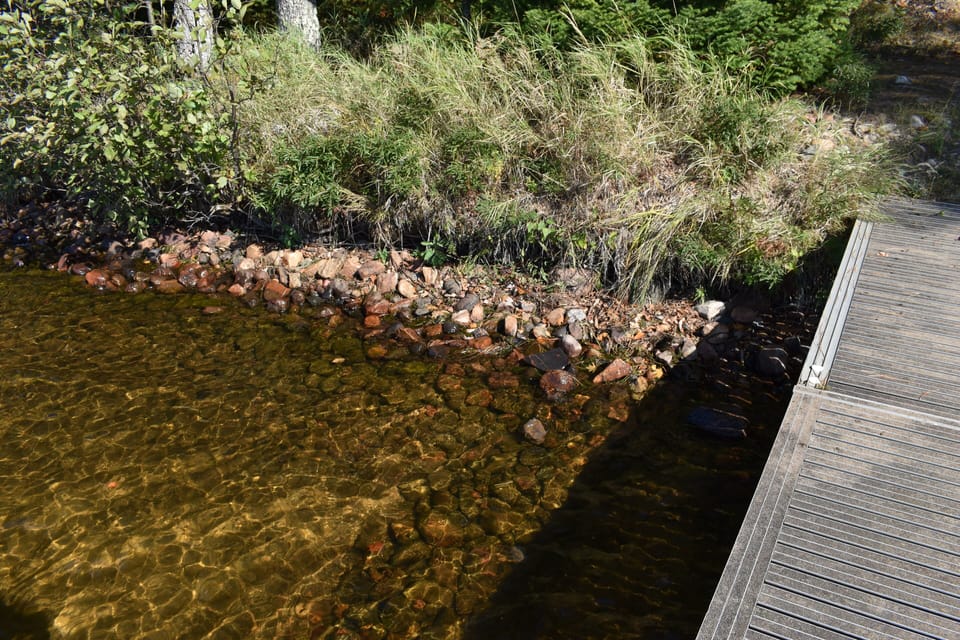 Clear water, great for swimming with a small rock/pebble bottom!