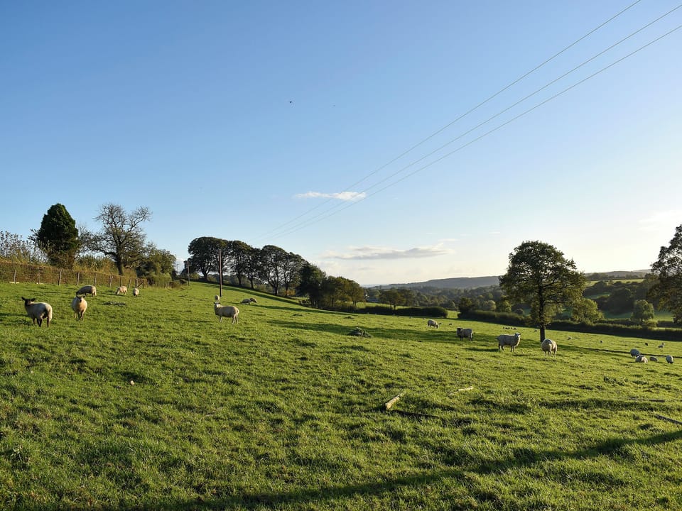 Surrounding area | Seaview Bungalow, Membury, near Axminster