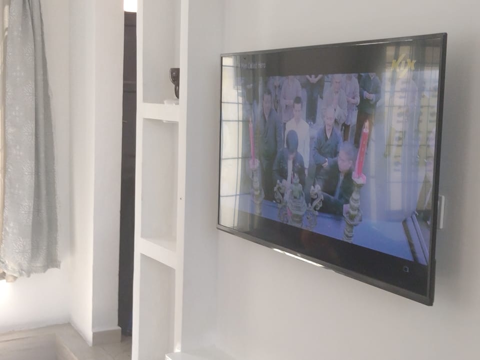 Television