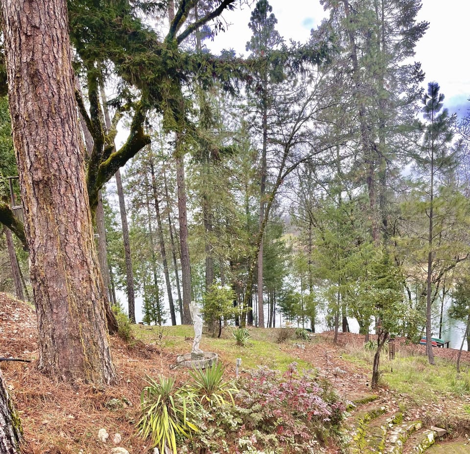 View from primary bedroom