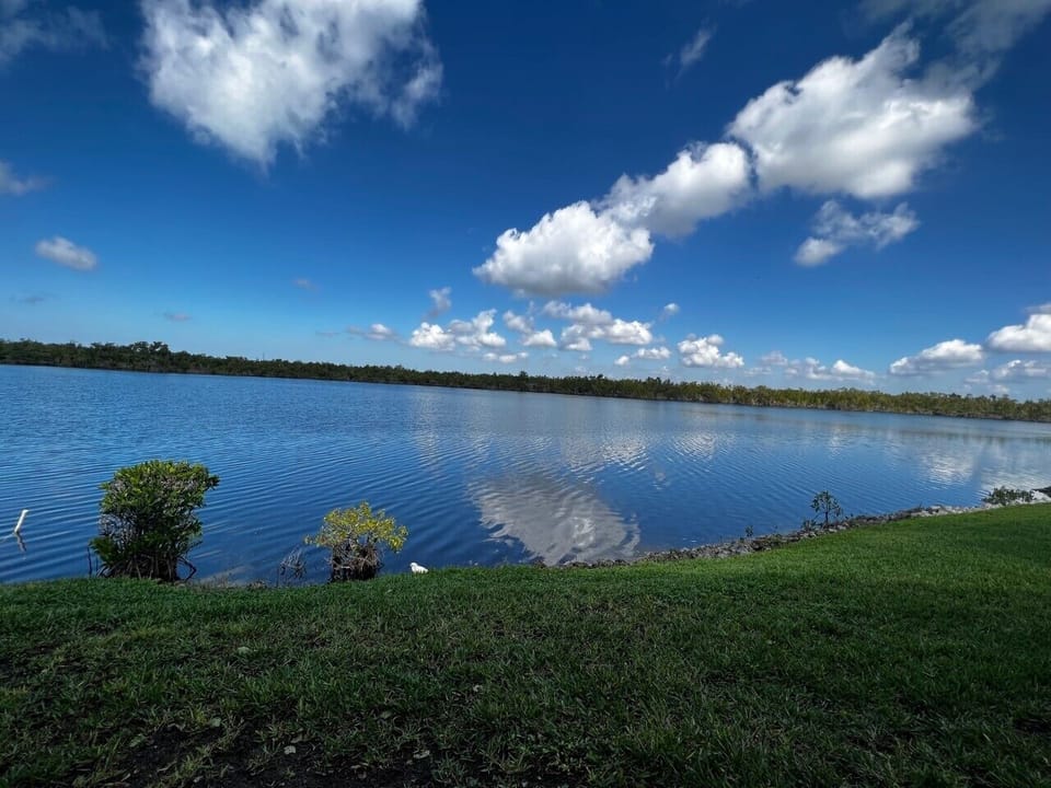 Lake
