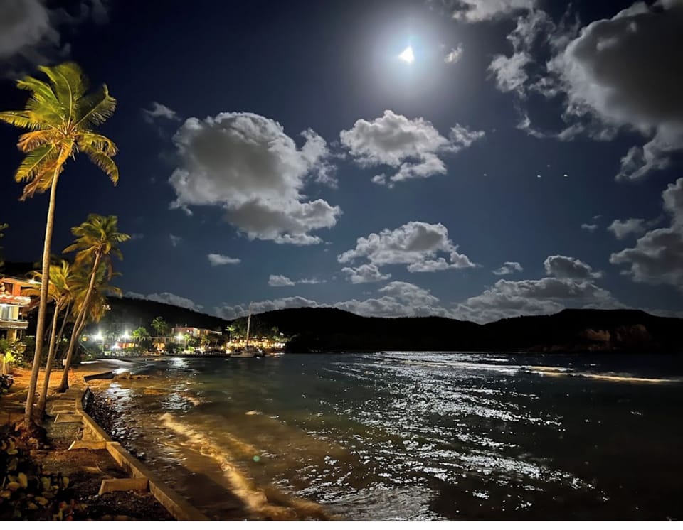 Amazing East View of a rising Full Moon!