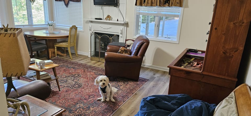 Dog friendly. yes, we are!