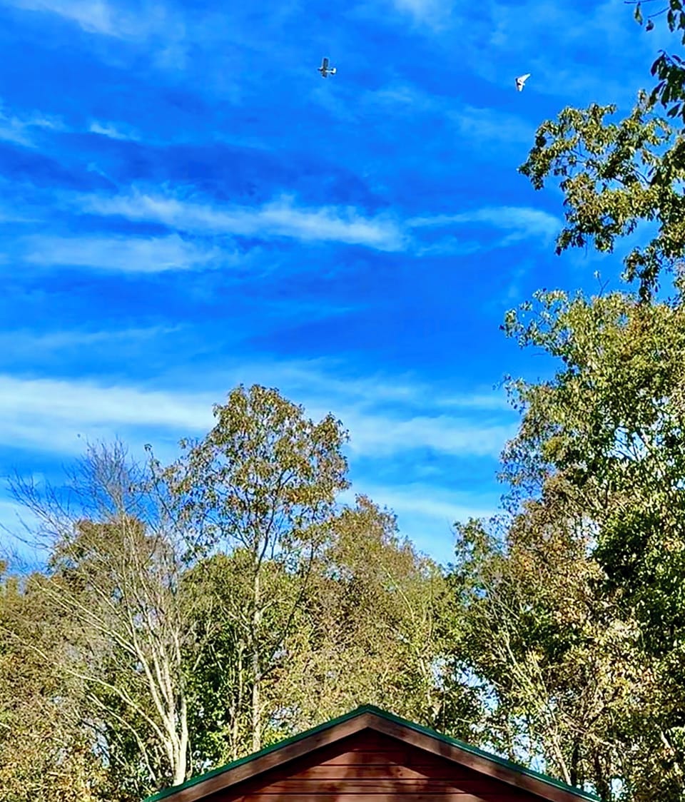With west or south wind the plane pulling up the hang gliders fly by the cabin