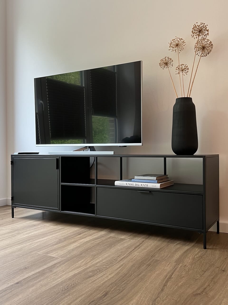Television