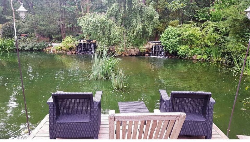 pond 