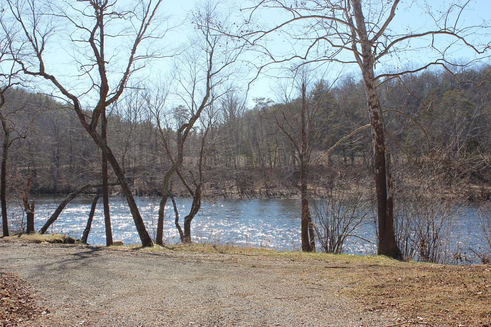 IMG 4377