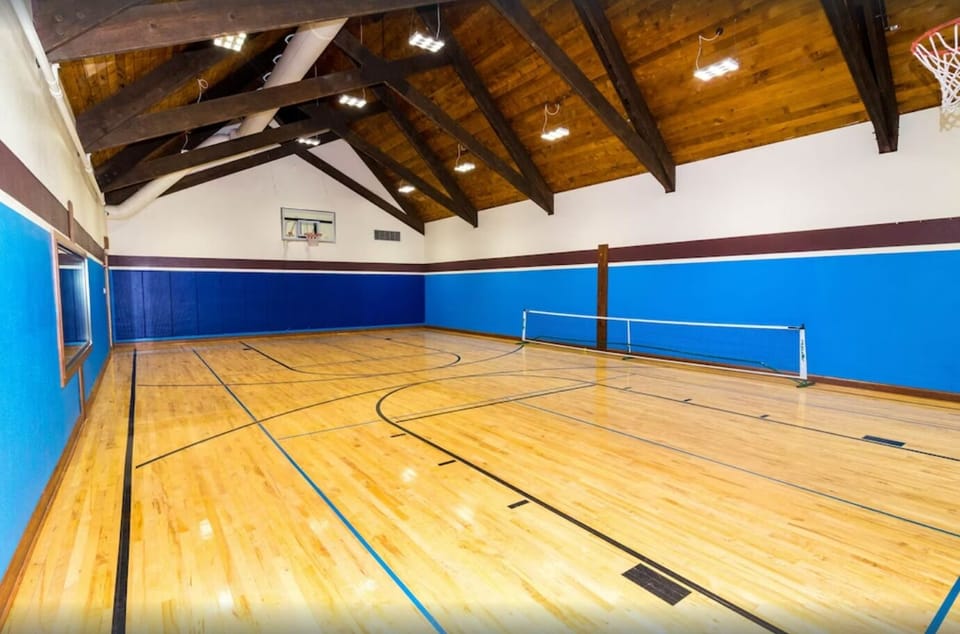 Pickleball and Volleyball court
