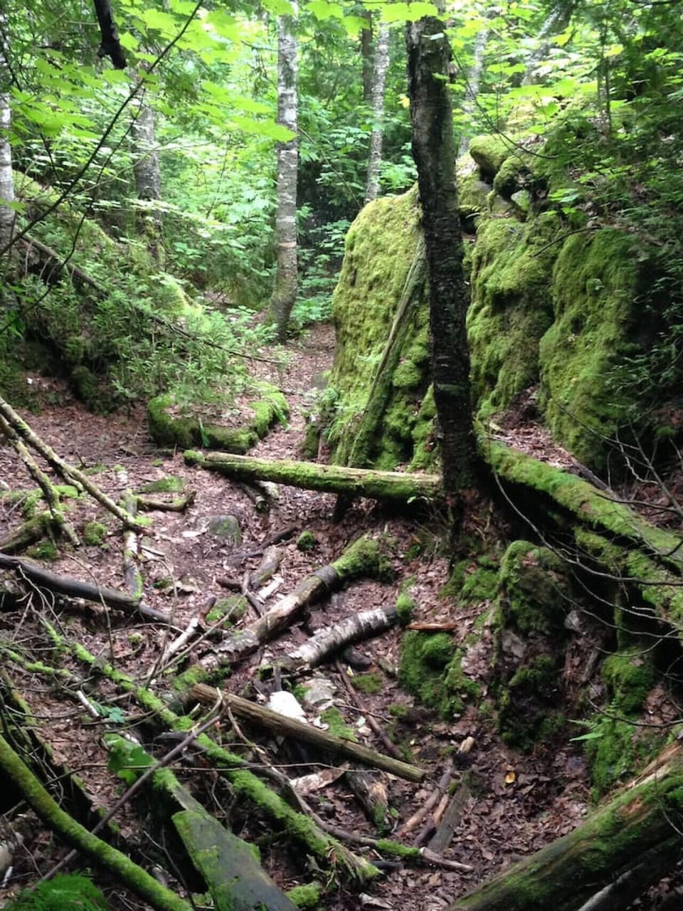 Visit Nottawasaga Lookout - Nearby trail and crevasse exploration.