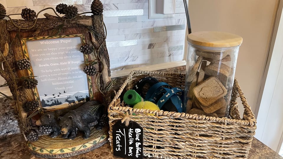 We are Dog Friendly!   