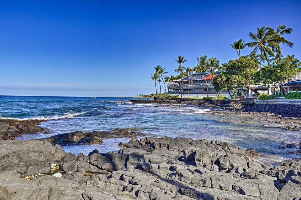 Tropical, Palm Tree, Tree, Water, Outdoors