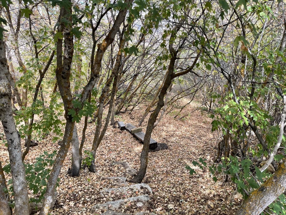 a5e48daf-eef5-4908-b824-73c7cbb259c7