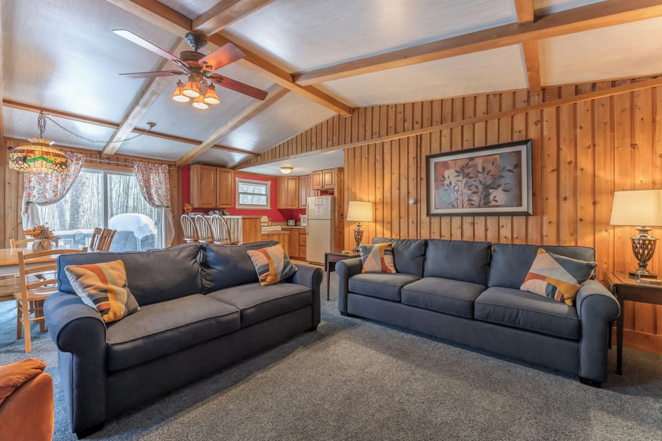 Luxury Pottery Barn couches - super comfy.