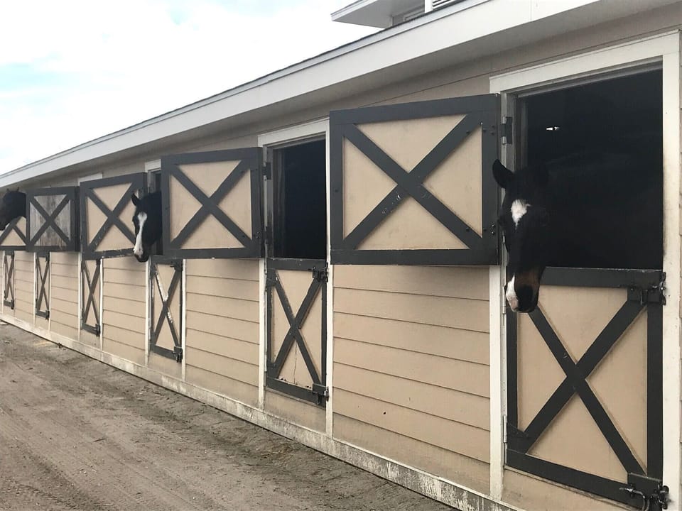 The Seabrook Island Equestrian Center offers unique beach rides. It's the most scenic way to explore the island's coastline and marshlands.