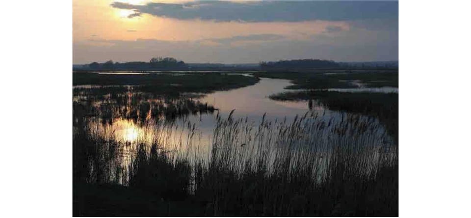 Marsh