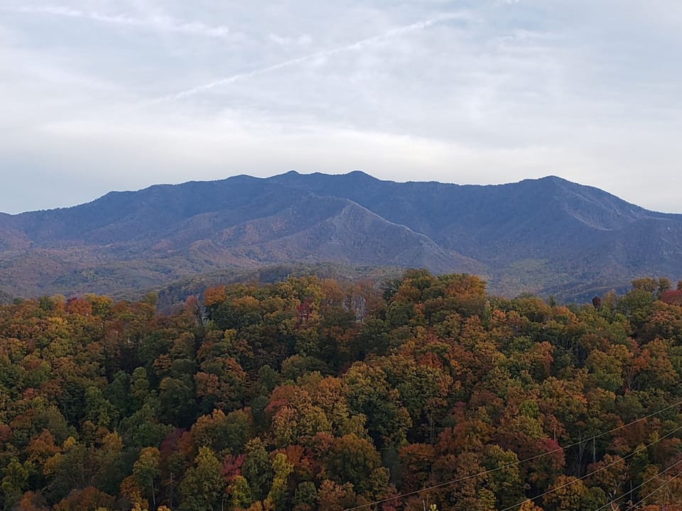 Back deck VIEW!
