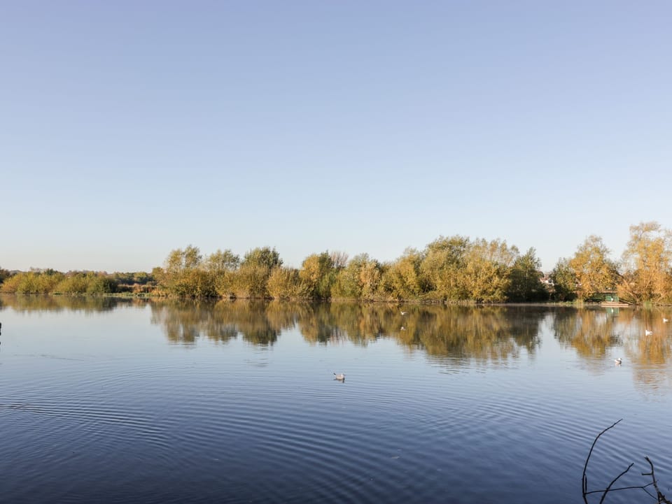 Lake