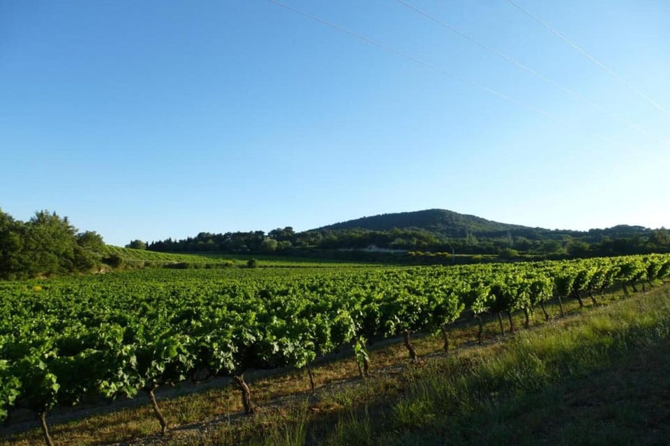 Region [summer] (>5 km)