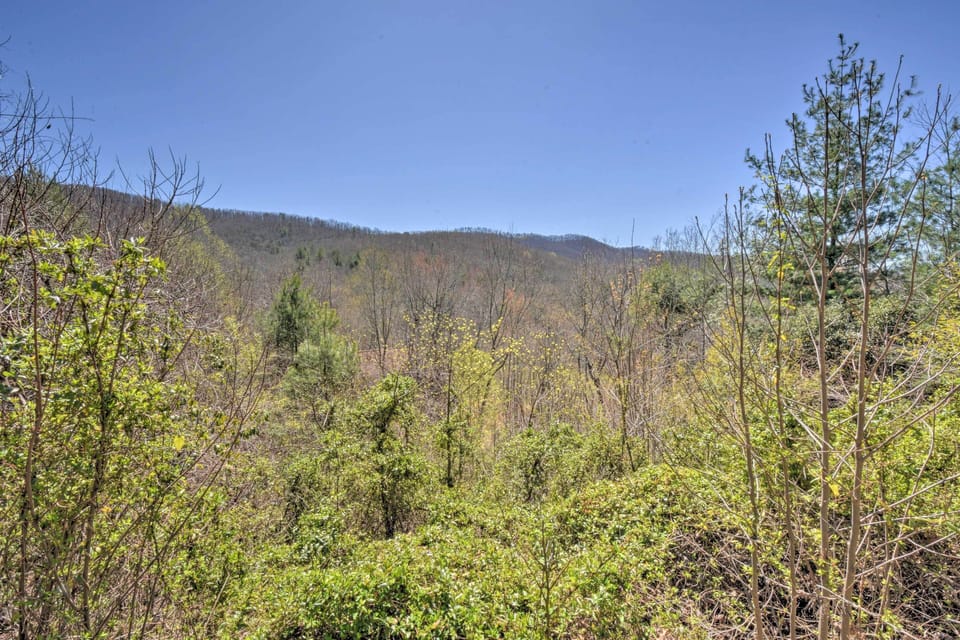 Cabin Exterior | Property Views