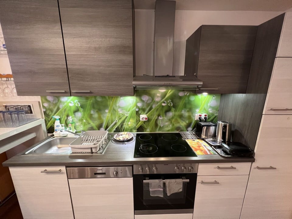Kitchen, Kitchen Appliance, Countertop, Major Appliance, Home Appliance, Interior Design, Cabinetry, Kitchen Stove, Kitchen Sink, Stove