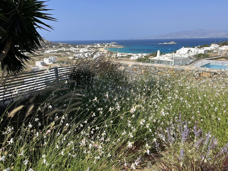 View from property