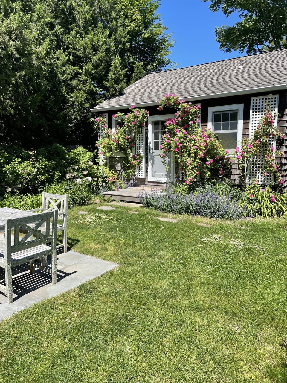 Front yard closeup