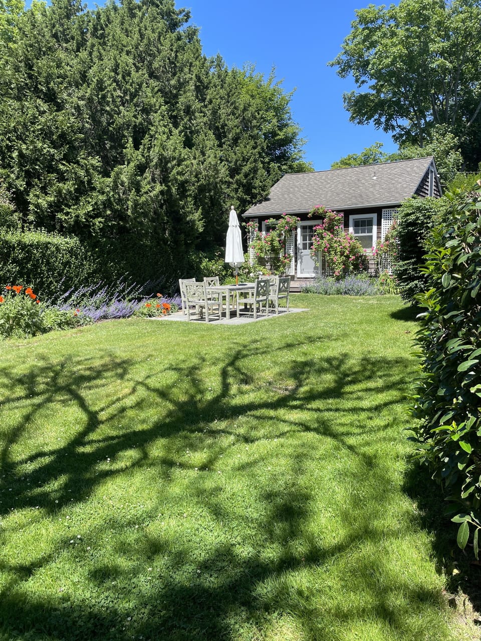 Front yard