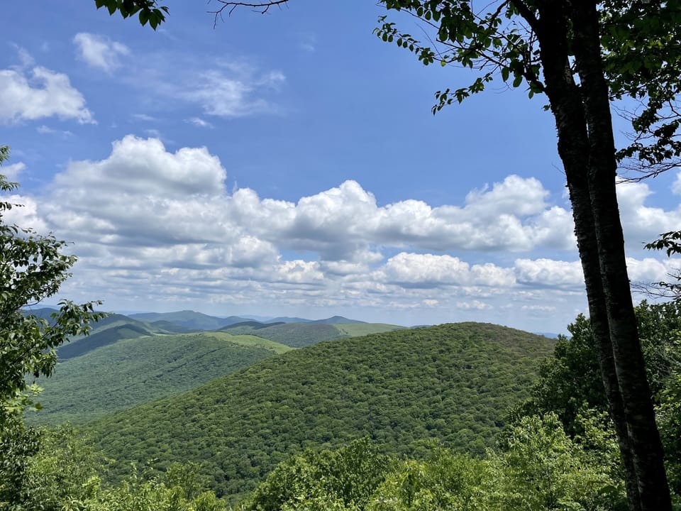 View (June) from 1 mile marker on Elk Knob State Park Summit Trail (5 min drive)