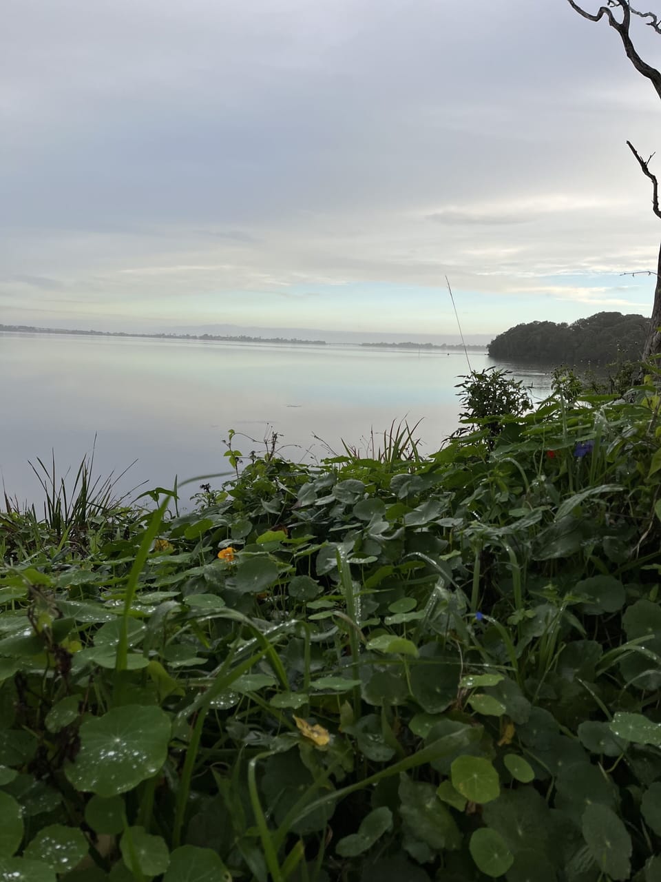 Walk across the road to find this lovely long walking path,Suitable for all ages