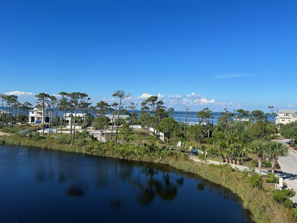VIew of pond and St. Joseph Bay