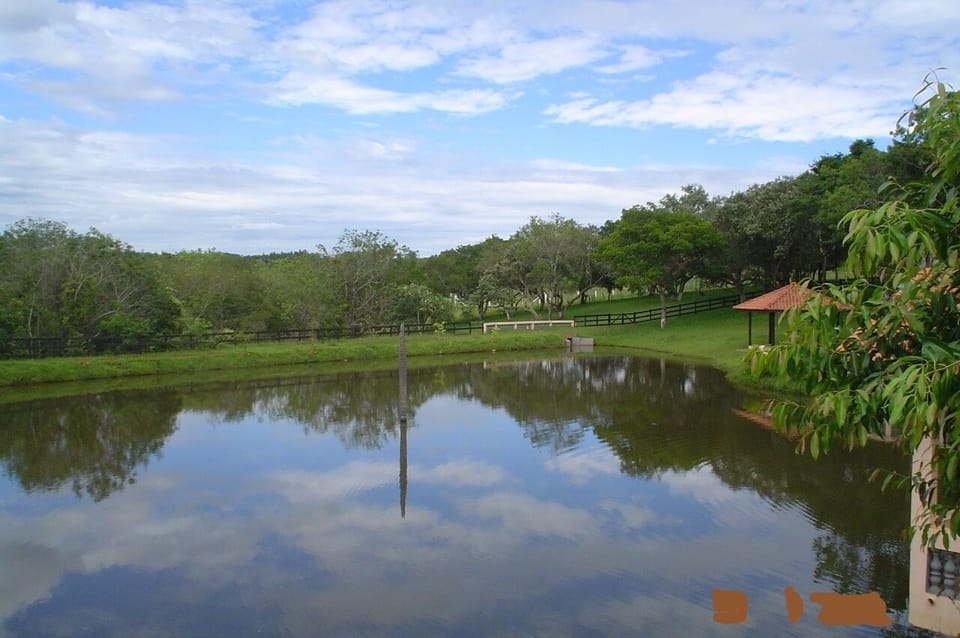 Lake