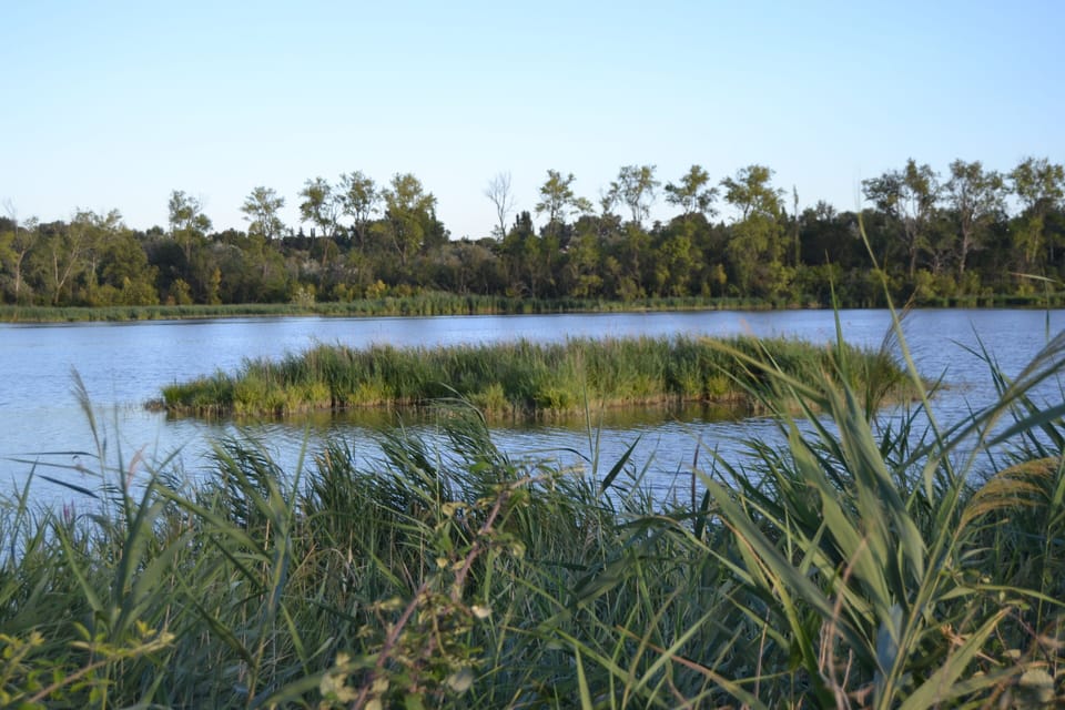 Lake