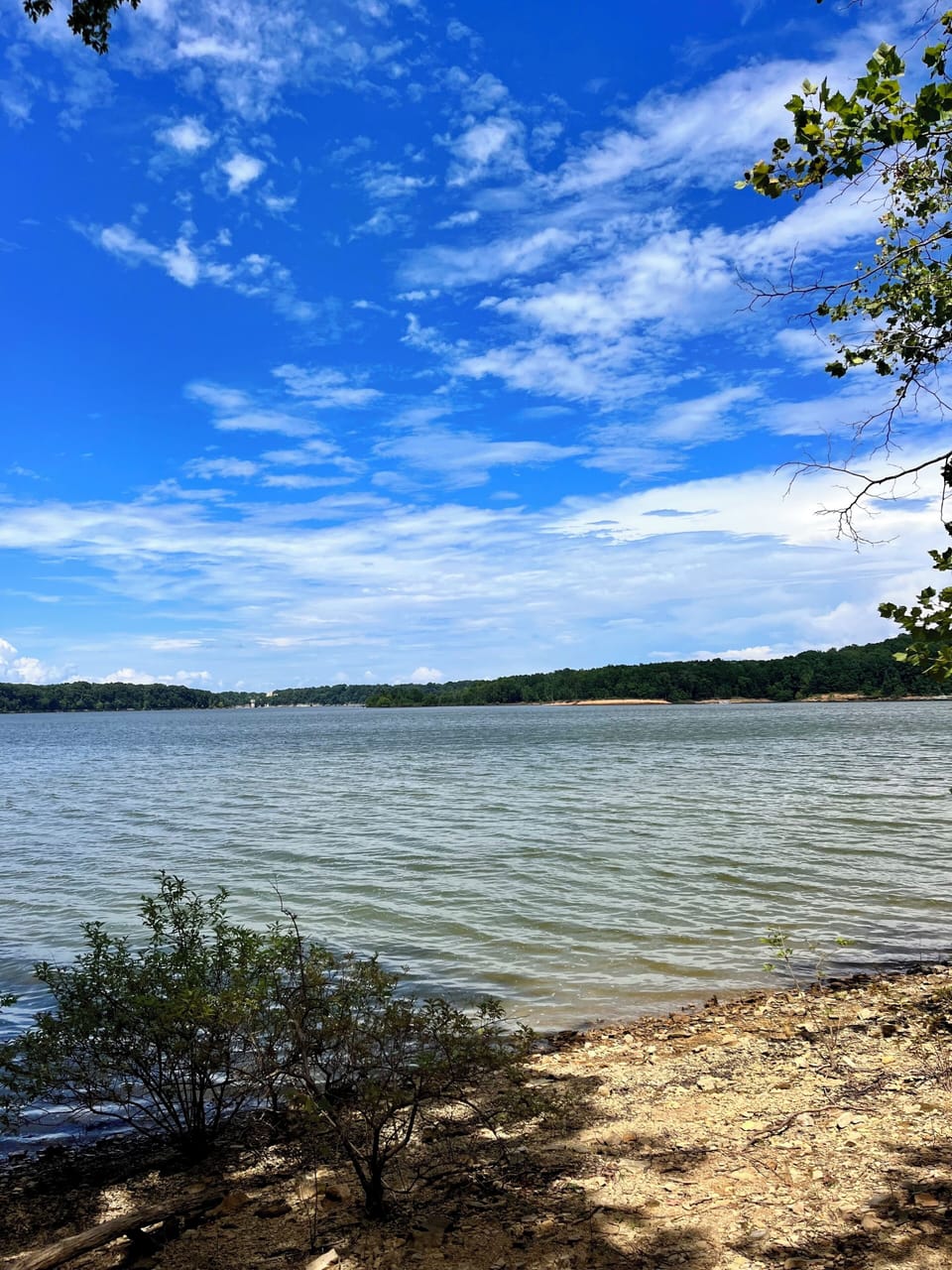 Direct access to Barren River Lake for fishing, swimming and kayaking.