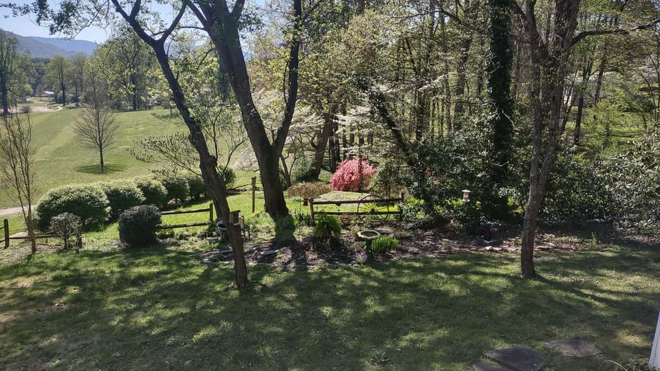 beautiful spring garden with birds and flowers blooming 