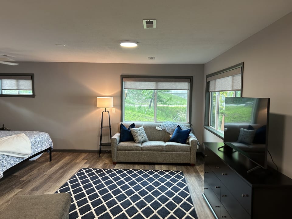 Sleeper Sofa / Sitting area 