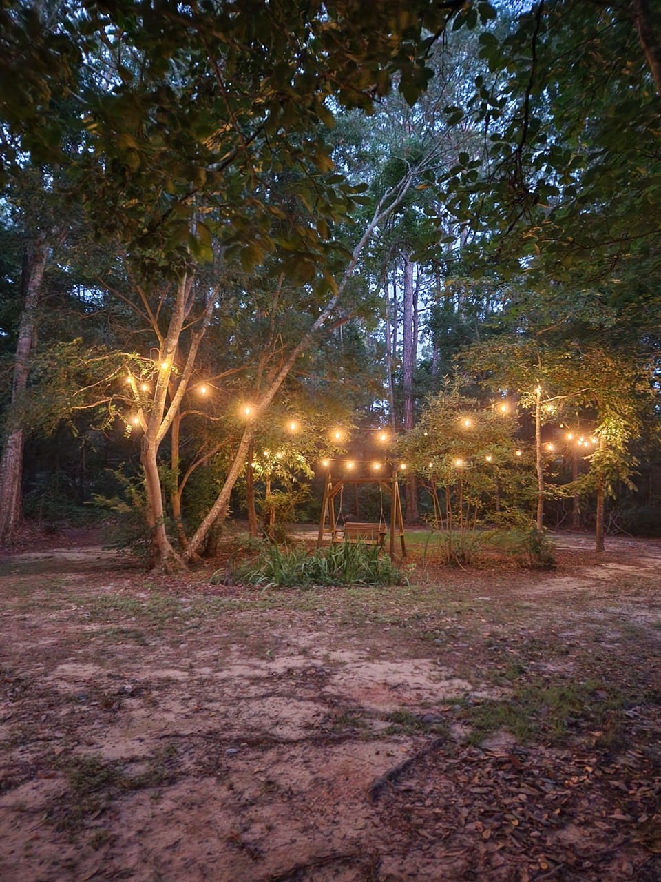 Horseshoe driveway & swing at night