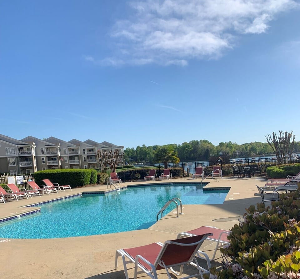 The Pool Area