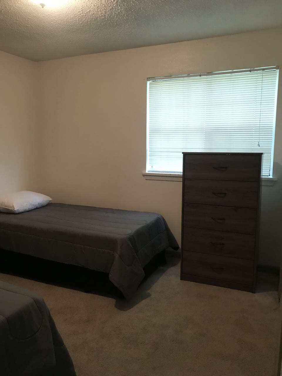 2nd bedroom Two twin beds 