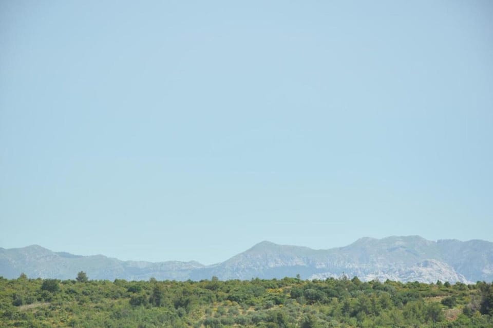 Region [summer] (>5 km)