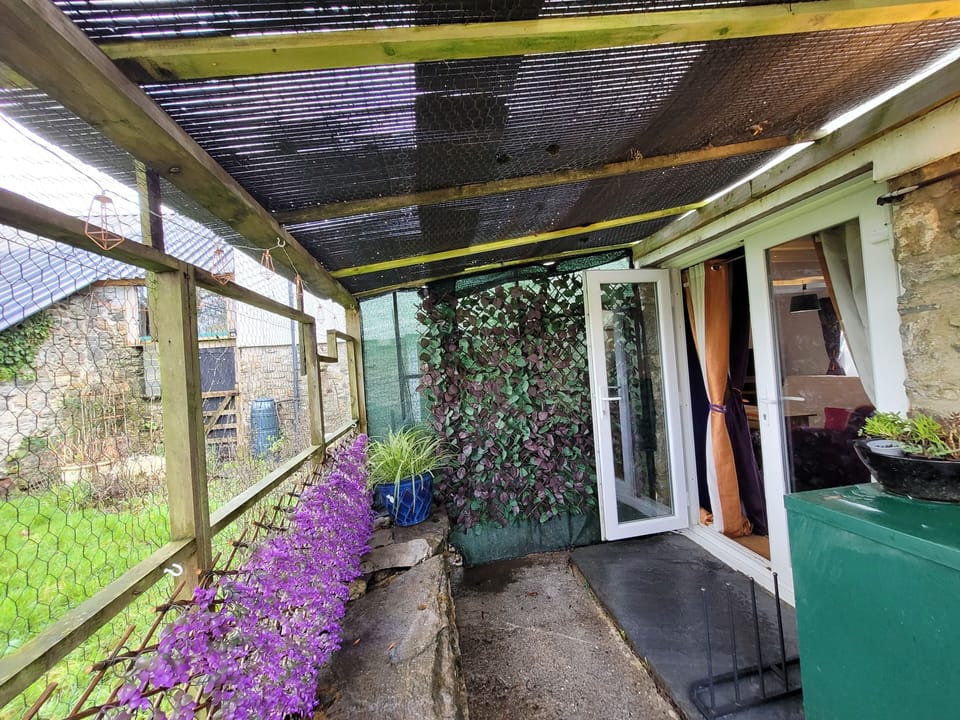Rear Courtyard