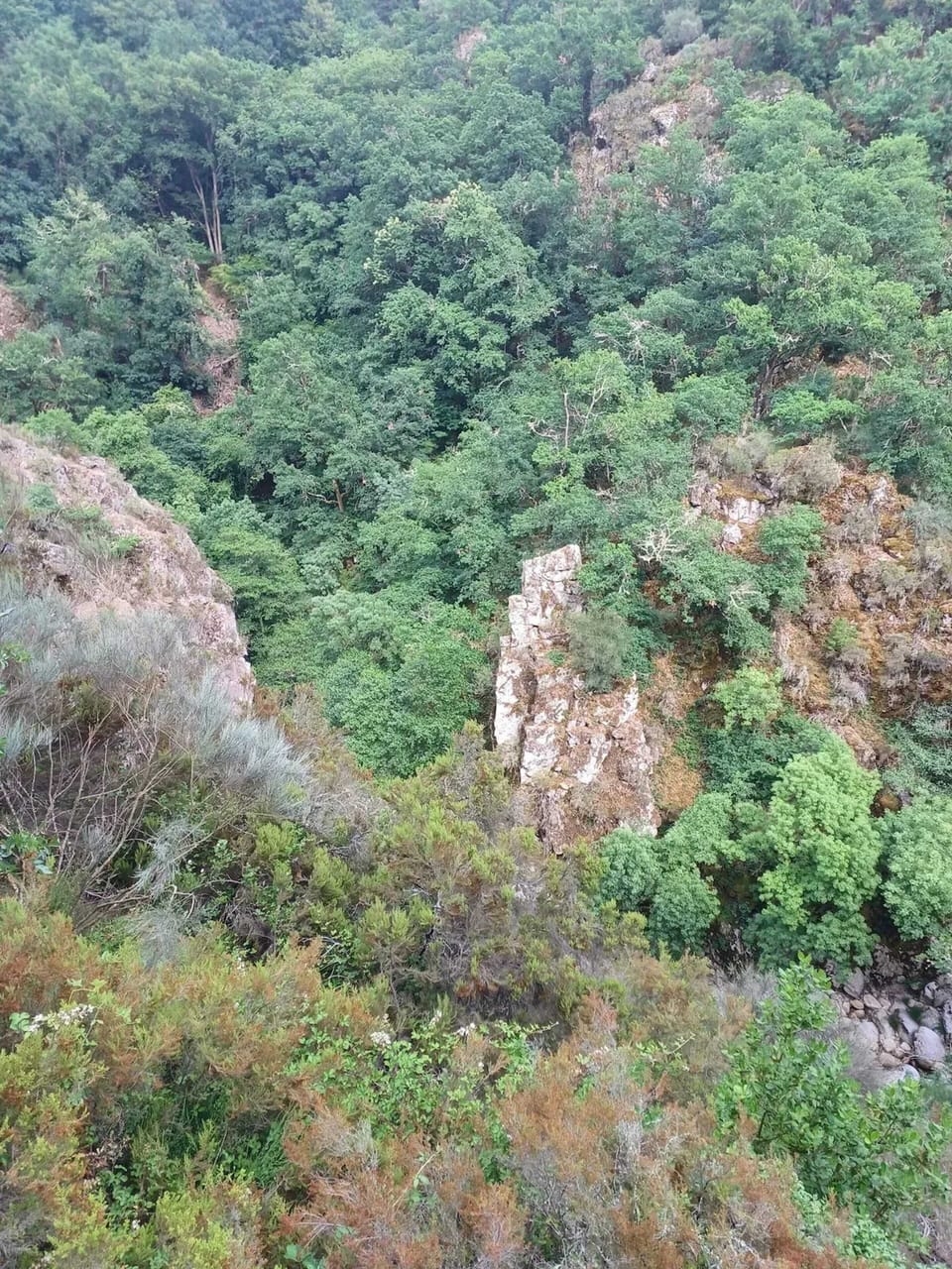 Surroundings