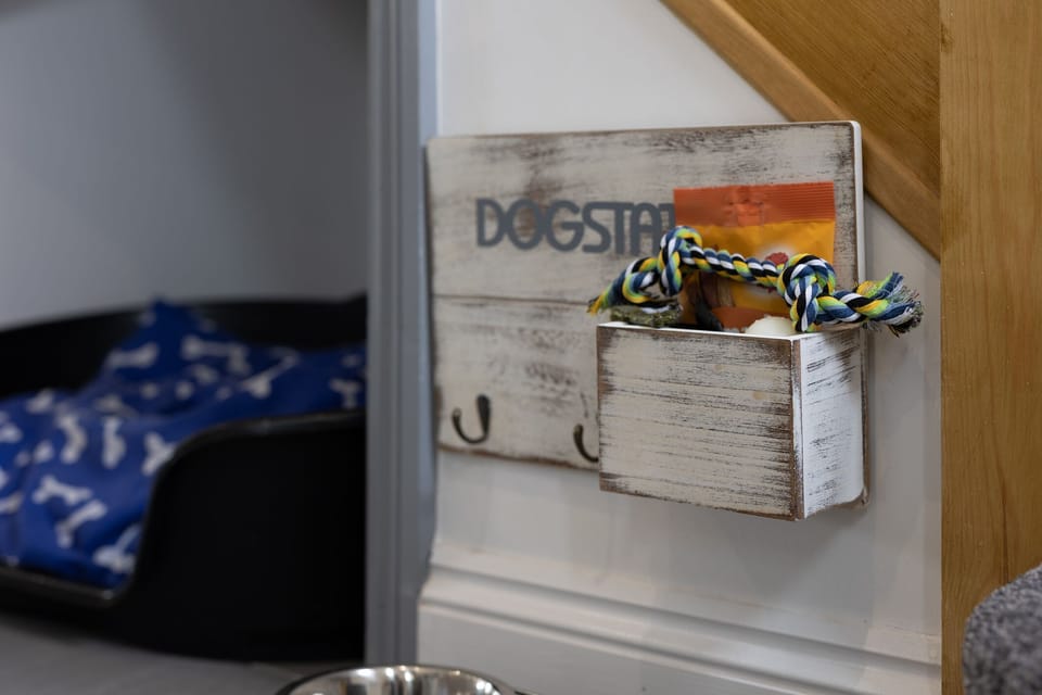 Dog station