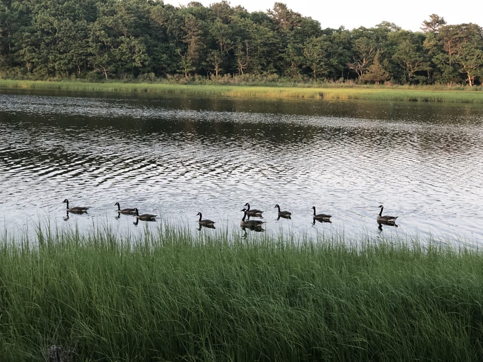 Lake