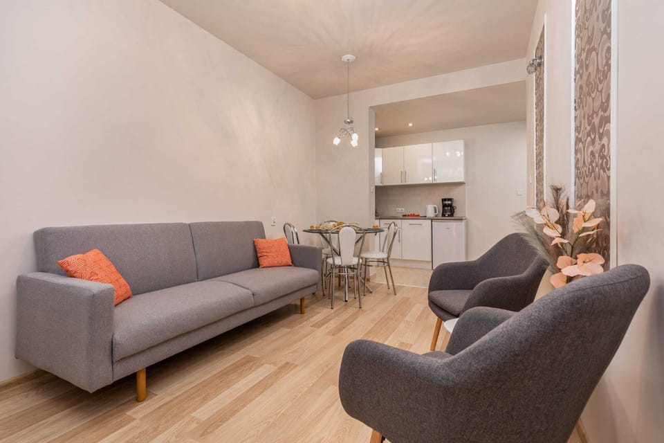 Comfortable, fold-out sofa in the living room. 