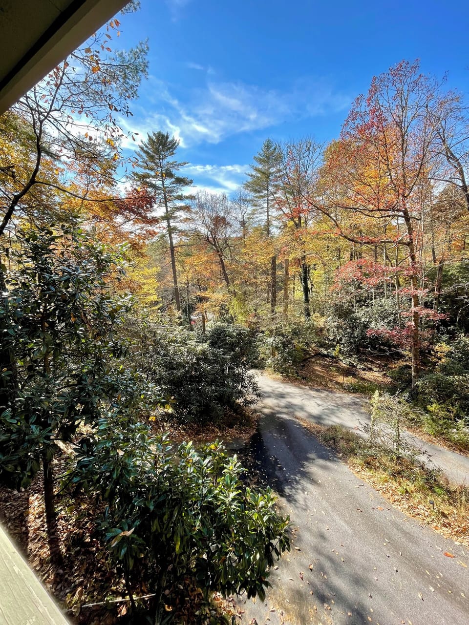 Fall at Cashiers Cottage
