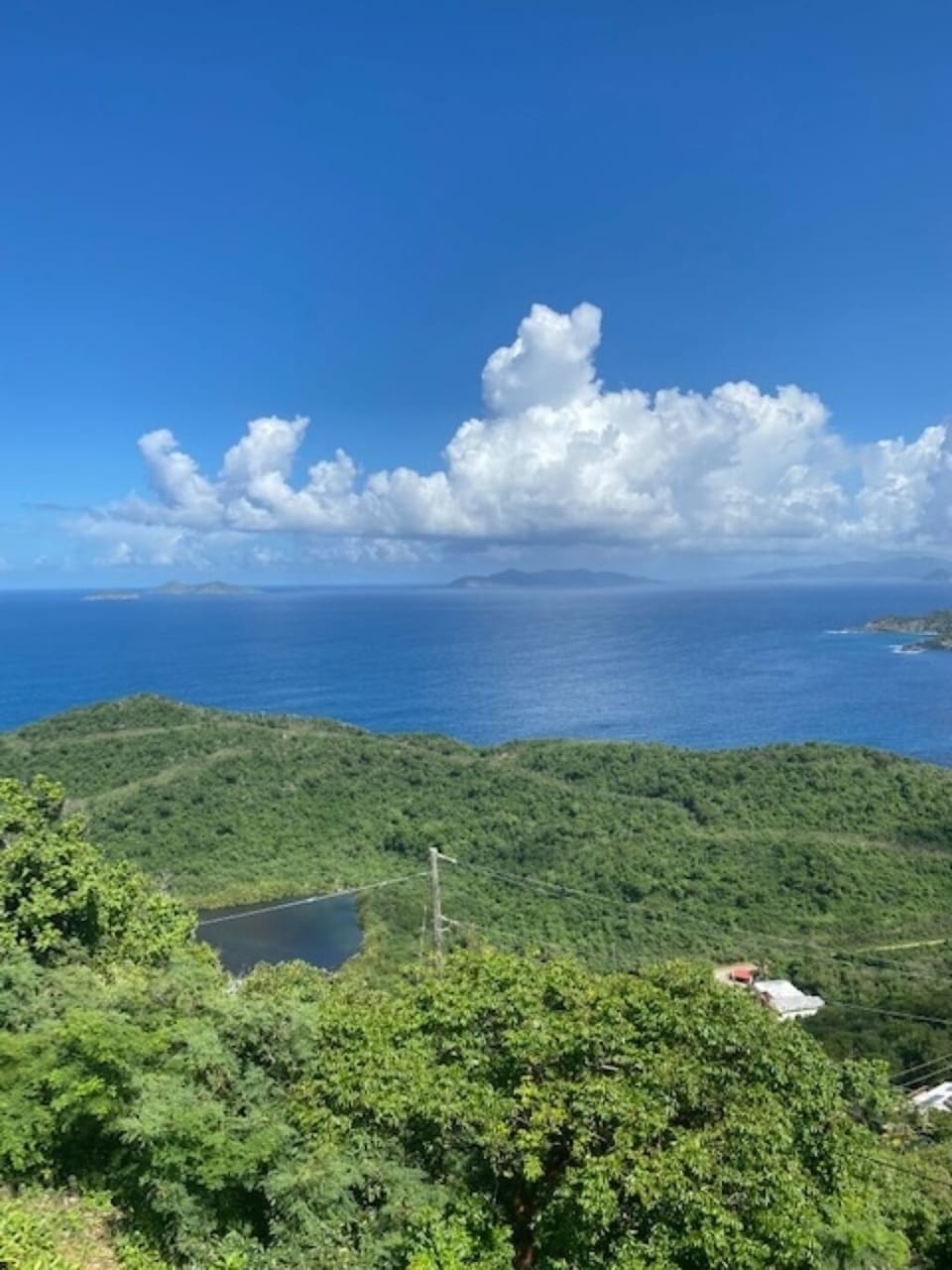 view