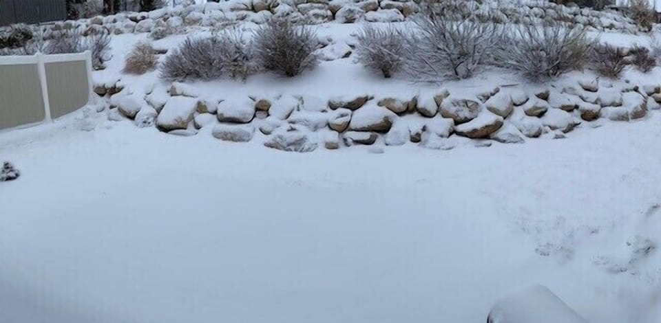 back yard winter